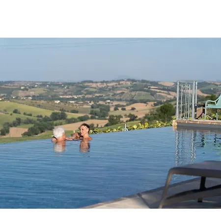 Stelle Girasoli E Conchiglie