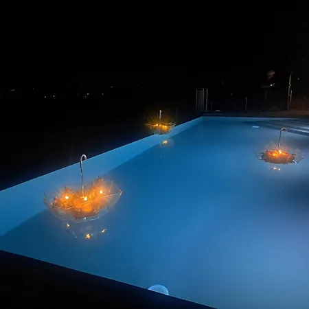 Stelle Girasoli E Conchiglie Roncitelli