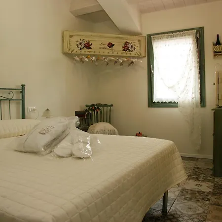 Stelle Girasoli E Conchiglie