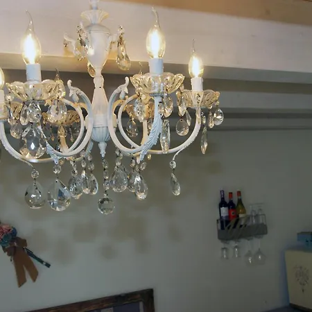 Stelle Girasoli E Conchiglie Roncitelli