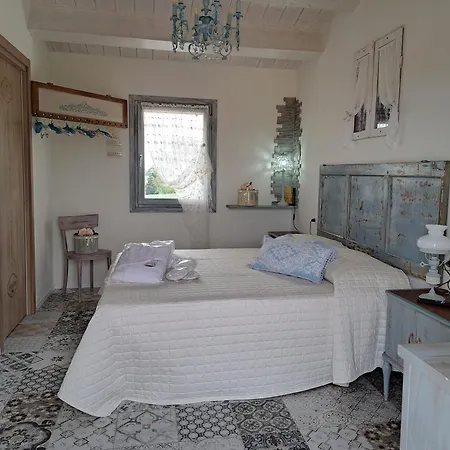 Stelle Girasoli E Conchiglie