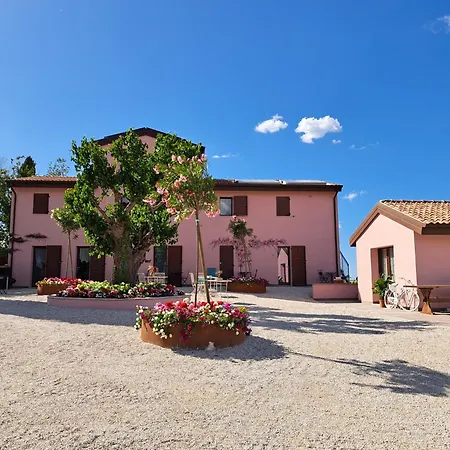 Stelle Girasoli E Conchiglie Roncitelli